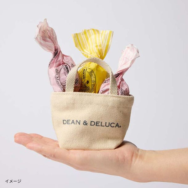 DEAN ＆ DELUCA「ミニトートホワイト＆バーチディダマセット」