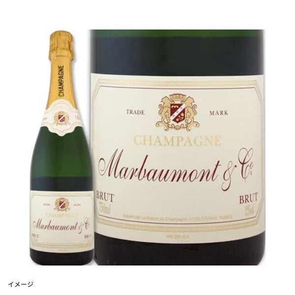 「シャンパン・プロセッコ・カヴァ入り！爽快上質スパーク4本セット」