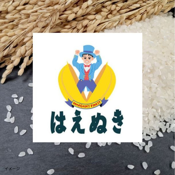 山形県庄内産「はえぬき 白米」