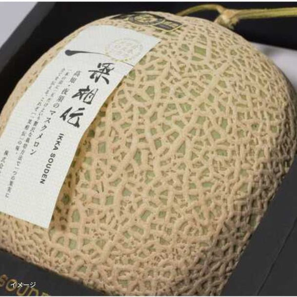 高知県産「一果相伝マスクメロン」