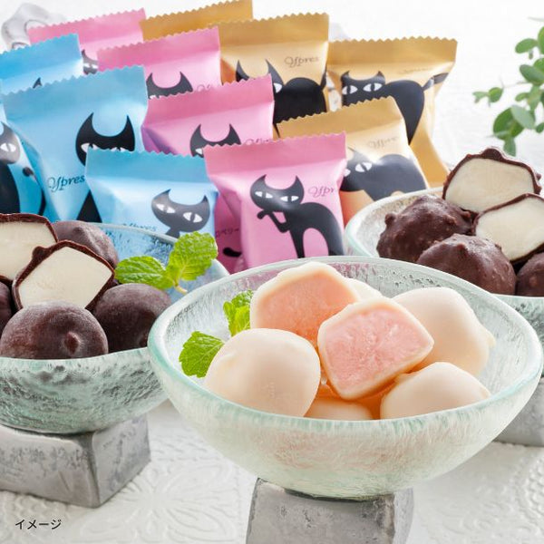 「プチチョコアイス AH-EPS」