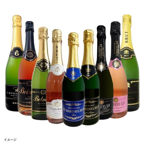 「暑さを吹き飛ばす！爽快スパーク9本セット」