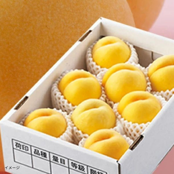 山形県産「秀品 黄桃品種おまかせ」