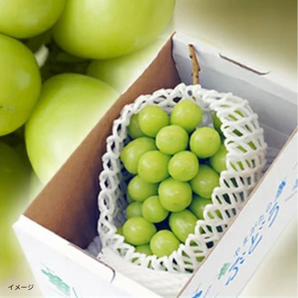 山形県産「秀品 シャインマスカット（1房）」