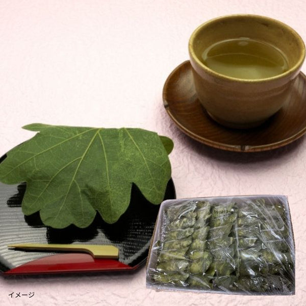 「柏餅 蓬（緑・粒餡）」