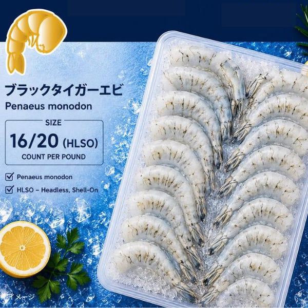 SEA-SMITH「ブラックタイガー 無頭・殻付き 16／20サイズ（大）」