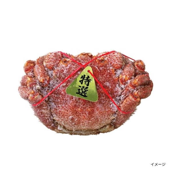 「北海道オホーツク産 毛ガニ」