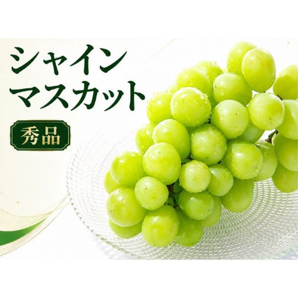 「産地ランダム シャインマスカット 2房」