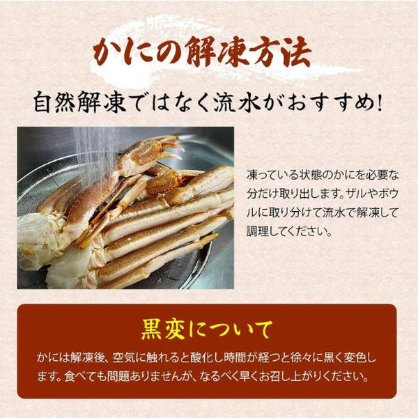 「生冷ずわい脚むき身 5Lサイズ」