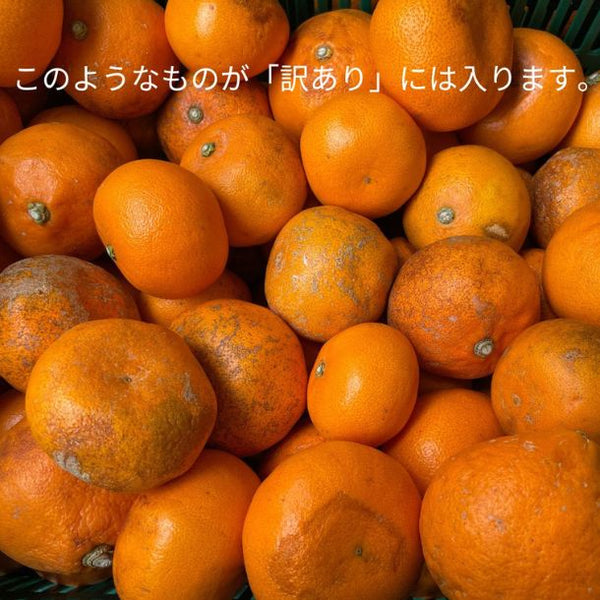 愛媛県産「訳あり せとか」