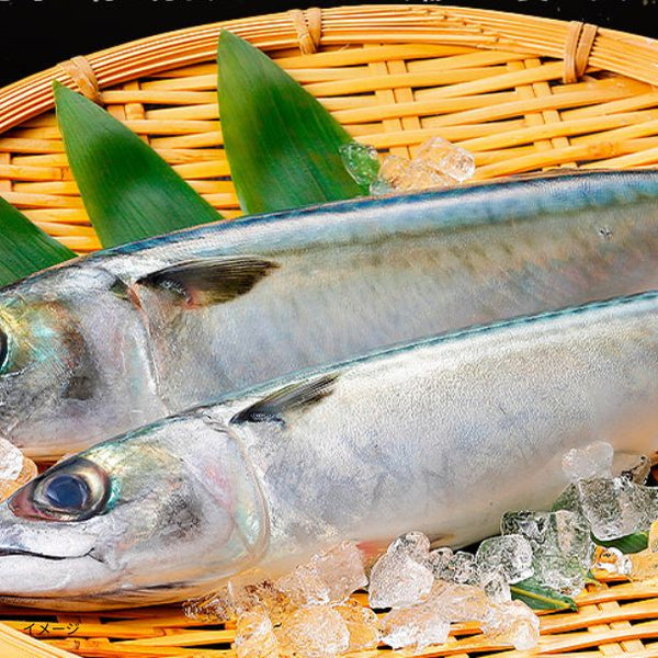 「骨取り 無塩サバ」