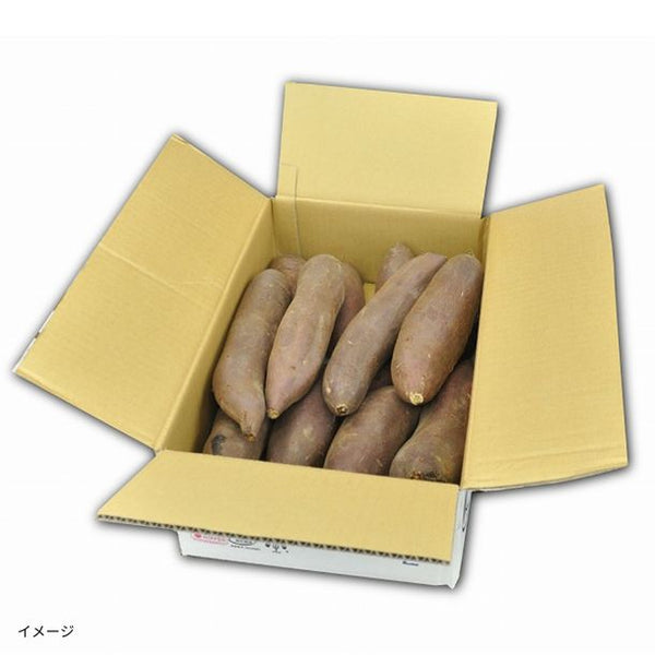 茨城県産「紅はるか 20本前後」