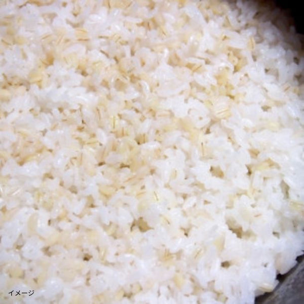 岡山県産「もち麦 フクミファイバー」