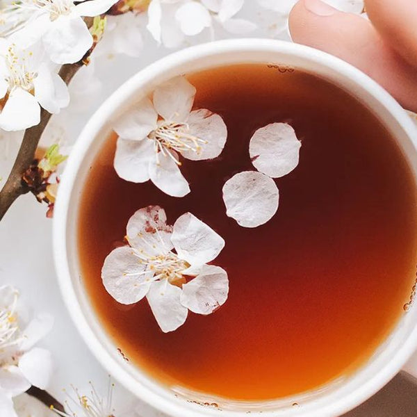 「FURUITEA SAKURA ギフト用（箱有り）」