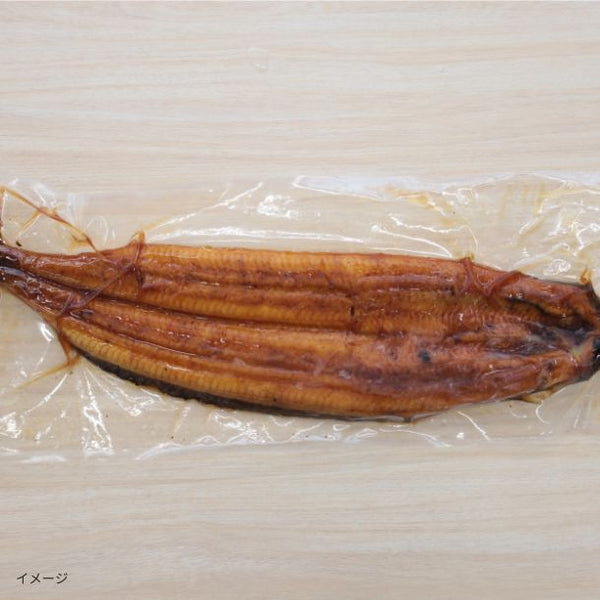鹿児島県産「有頭背開きうなぎ蒲焼 たれ付き 化粧箱入り」