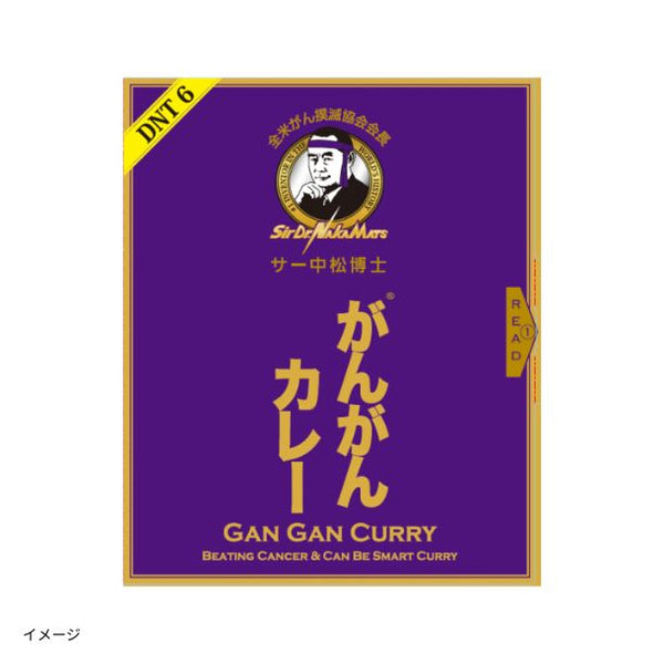 ドクター中松「がんがんカレー」（3パック入）