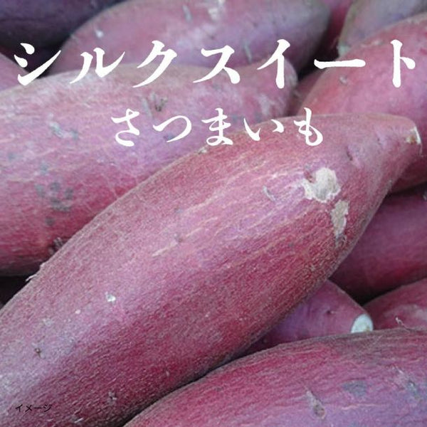 千葉県産「シルクスイート」