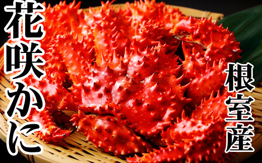 北海道根室産「脚折れ 花咲ガニ」約1.2kg（2～4尾）
