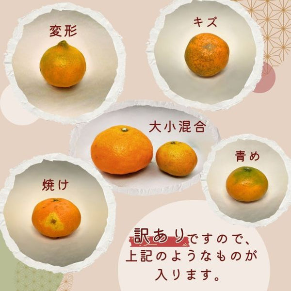 愛媛県産「訳あり 甘平」