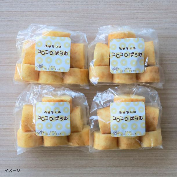 【Kuradashiオリジナル】訳あり コロコロふぞろいばうむ 250g