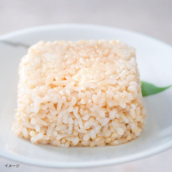 一粒庵「玄米ごはん」
