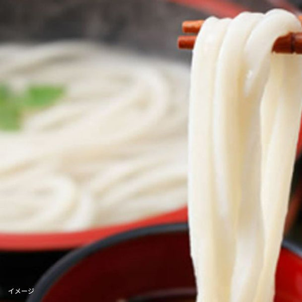 「訳あり半生極太讃岐うどん」