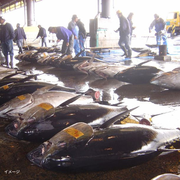 「本マグロ入り3種のたたき」