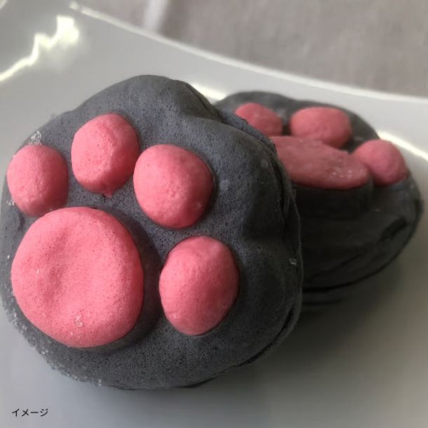 「くろねこのしおちゃん」