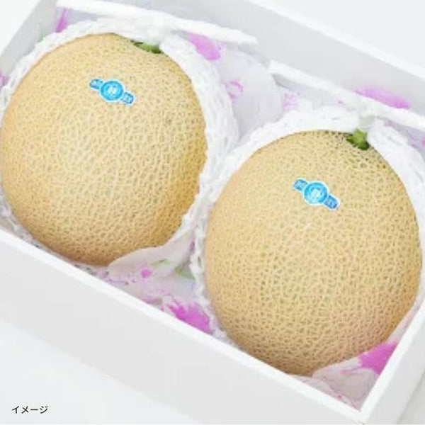 静岡県産「高級マスクメロン」