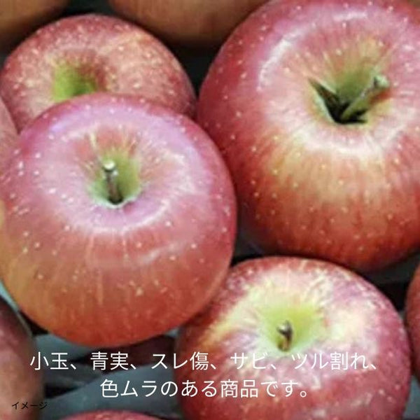 青森県「旬のりんご福箱（数品種・無選別）」