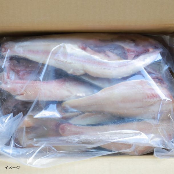 【Kuradashiオリジナル】わけあり干物 真ほっけ＆縞ほっけ 1.8kg