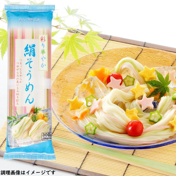 「彩り華やか 絹そうめん」