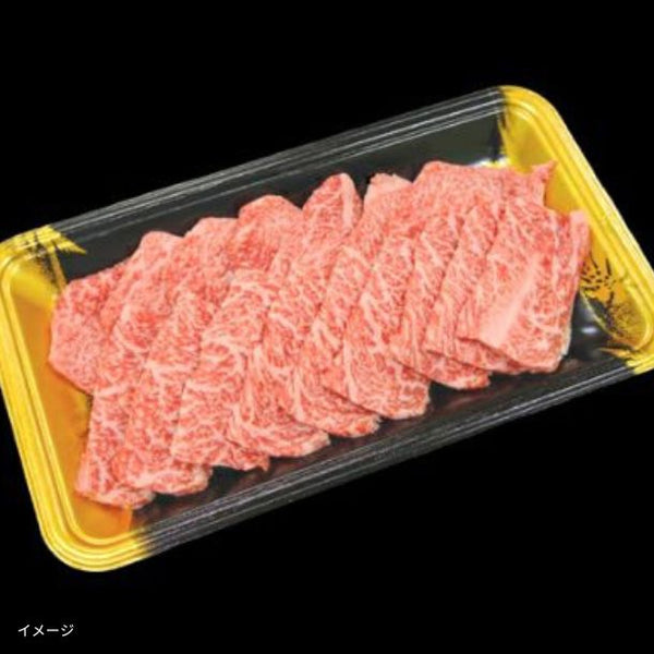 格之進「熟成肉お試し福袋セット」