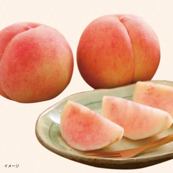 福島県産「早生白桃（5-6玉）ランダムセット」