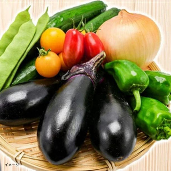 「山形市場厳選！野菜セット7品目（おまけ付）」