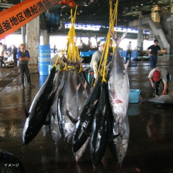 「本マグロ入り3種のたたき」