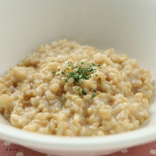 「長期保存 玄米ごはん 和風味」