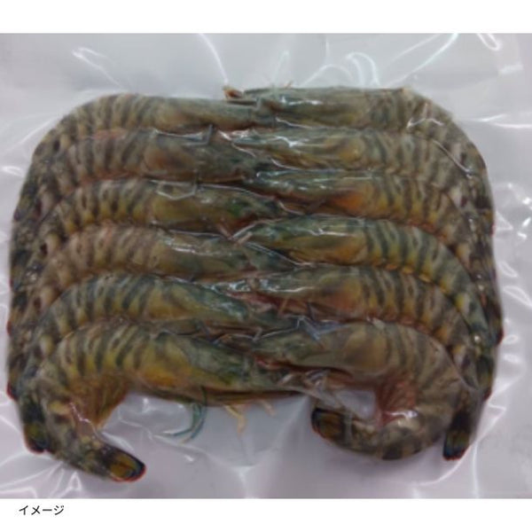 鹿児島県産「養殖 活き〆冷凍車海老 バラ13尾」