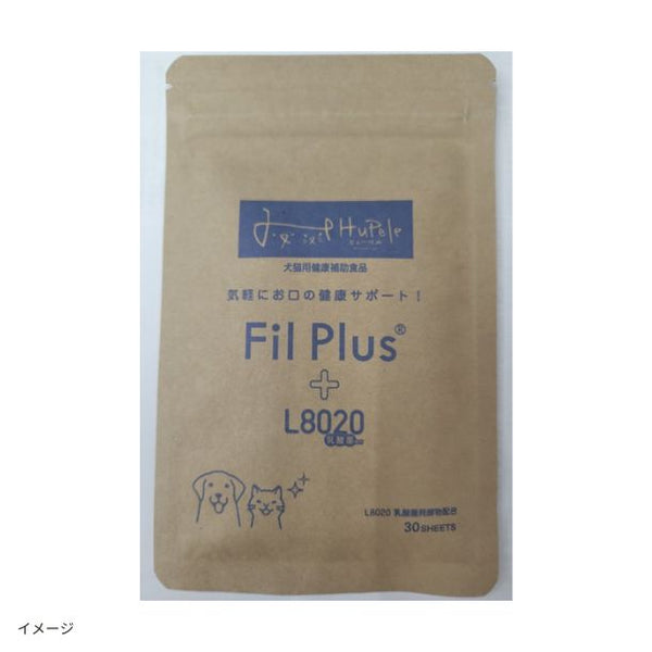 「Fil Plus＋L8020 通常サイズ」