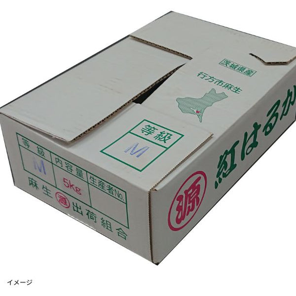 茨城県産「紅はるか 20本前後」