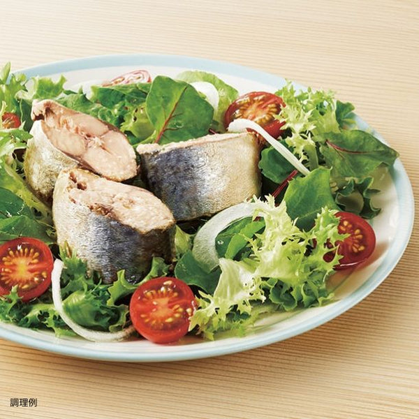 キョクヨー「さば水煮」