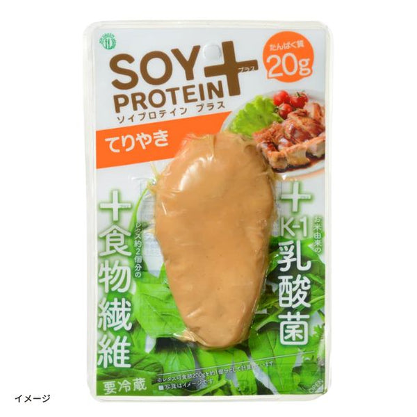 JOY GREEN「SOY PROTEIN+ てりやき ブロックタイプ」