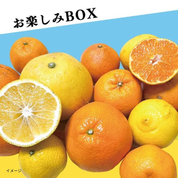 愛媛県産「媛一 お楽しみボックス 家庭用」