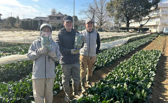 【BtoB】【木更津用】千葉県産熟成冷凍さつまいも1kg