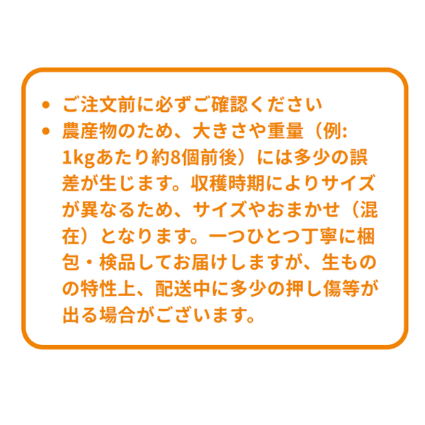 訳あり「グリーンレモン 種なし 璃の香 防腐剤・ワックス不使用」