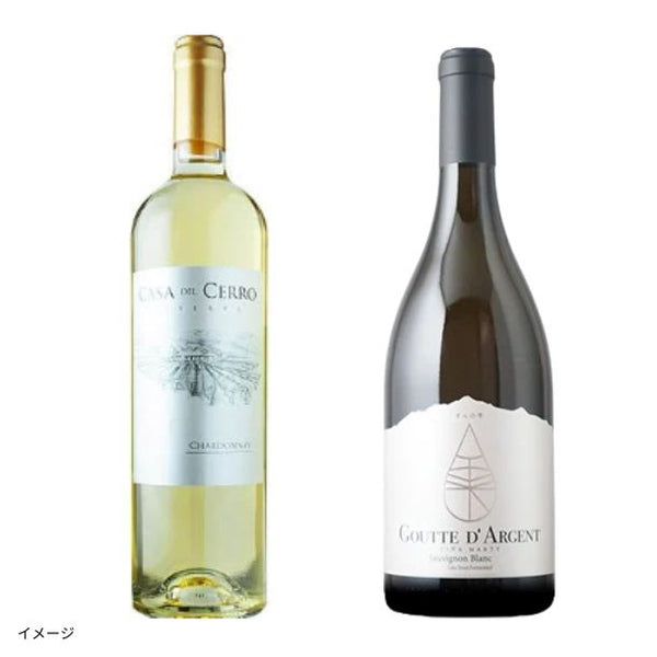 「ムートン・オーパス元醸造家が造る！日本酒酵母 vs 通常酵母のシャルドネ飲み比べ」