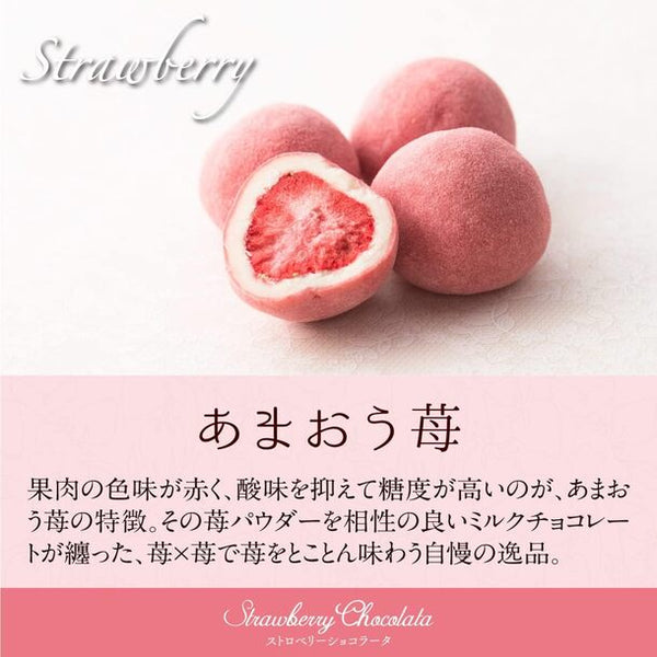 「贅沢ストロベリーショコラータ 3袋セットギフト」