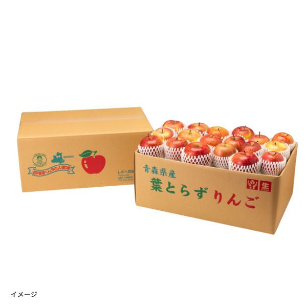 青森県産「葉とらずサンふじ 無選別（大中小込み）」