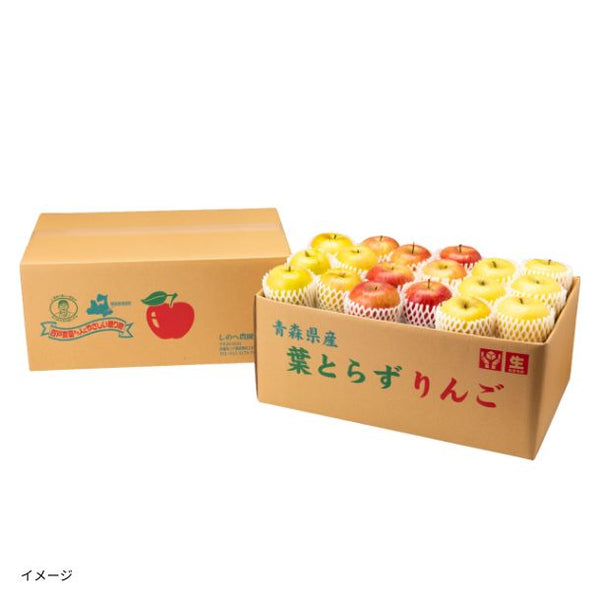青森県産「赤黄色 りんご詰め合わせ 無選別（大中小込み）」