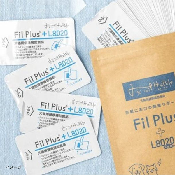 「Fil Plus＋L8020 通常サイズ」